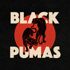 Black Pumas - Black Pumas (Colored Vinyl) 
