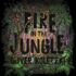 Oliver Koletzki - Fire In The Jungle 