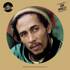 Bob Marley - Vinylart (Picture Disc) 