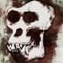 Ol' Gorilla Bones x The Dirty Sample - Revenge 1 