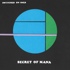 Switched On SNES - Secret of Mana (Black Vinyl) 