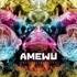 Amewu - Entwicklungshilfe [Orange Vinyl] (RSD 2020) 
