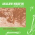 Ayalew Mesfin - Good Aderegechegn (Blindsided By Love) 