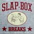 Roc Raida - Slap-Box Breaks 