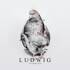 Stimming - Ludwig 