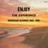 Various - Enjoy The Experience - Homemade Records 1958-1992 