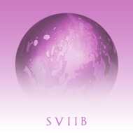 School Of Seven Bells - SVIIB (Black Vinyl) 