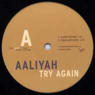 Aaliyah - Try Again 