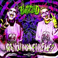 Twiztid - Are You Insane Like Me? (Picture Disc - Black Friday 2016) 