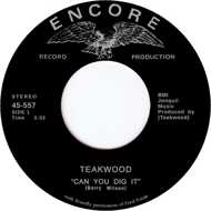 Teakwood - Can You Dig It / Suddenly You're My Life 