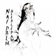 Nai Palm (Hiatus Kaiyote) - Needle Paw 