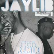 Jaylib (J Dilla & Madlib) - Champion Sound: The Remix 