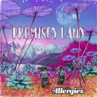 The Allergies - Promised Land 