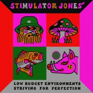 Stimulator Jones - Low Budget Environments Striving For Perfection 