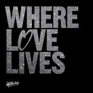 Various - Where Love Lives (Black Cover) 