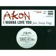 Akon - I Wanna Love You 