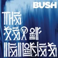 Bush - The Sea Of Memories 