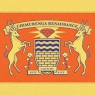 Chimurenga Renaissance - Rize Vadzimu Rize 
