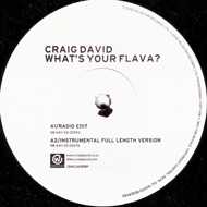 Craig David - What's Your Flava? 