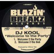 DJ Kool - Welcome To The Party 