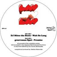 DJ Mitsu The Beats / Grooveman Spot - Wait So Long / Promise 