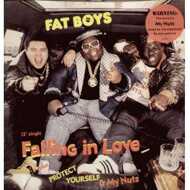 Fat Boys - Falling In Love 