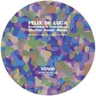 Felix De Luca - Everything Is Camouflage (Shatter Hands Remix) 