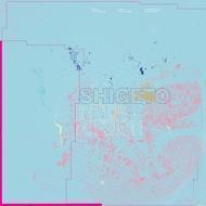 Shigeto - Intermission EP (Black Vinyl) 