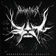 Insanity Check - Unrecoverable Reality 