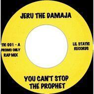 Jeru The Damaja - You Can't Stop The Prophet 