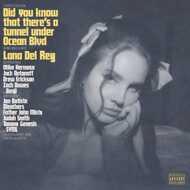 Lana Del Rey - Did you know that there's a tunnel under Ocean Blvd (Black Vinyl) 