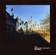The Cinematic Orchestra - Ma Fleur (Clear Vinyl) 