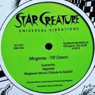 Mogwaa - Till Dawn 