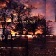 Blockhead - Music By Cavelight (Colored Vinyl) 