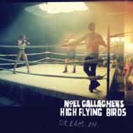 Noel Gallagher's High Flying Birds - Dream On 