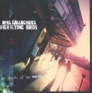 Noel Gallagher's High Flying Birds - The Death Of You And Me 
