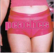 Peaches - The Teaches Of Peaches 