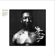 Muddy Waters - After The Rain 