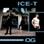 Ice-T - O.G. Original Gangster (Black Vinyl)