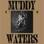 Muddy Waters - King Bee (Blue Vinyl) 