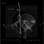 Real Geizt & Splitdtercrist (Taktloss & Justus Jonas) - Imitierte Signale (Black Vinyl) 
