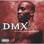 DMX - It`s Dark And Hell Is Hot (Golden Vinyl Edition) 